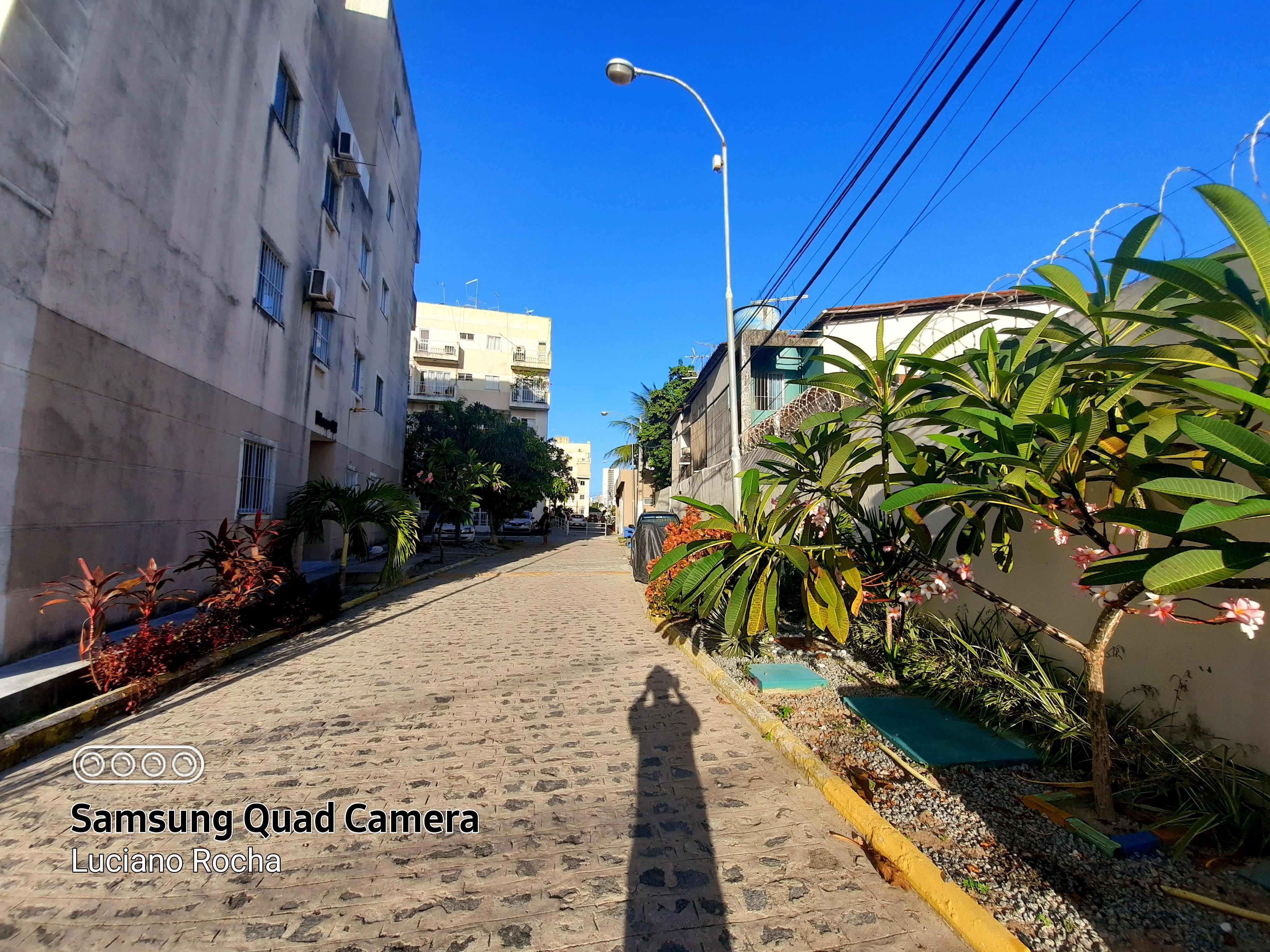 Imagem Apartamento com 3 Quartos para Alugar, 60 m²em Candeias - Jaboatão dos Guararapes Imagem Apartamento com 3 Quartos para Alugar, 60 m²em Candeias - Jaboatão dos Guararapes