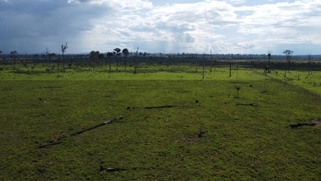 Imagem Fazenda à Venda, 430 m² em Centro - São Félix do Xingu Imagem Fazenda à Venda, 430 m² em Centro - São Félix do Xingu