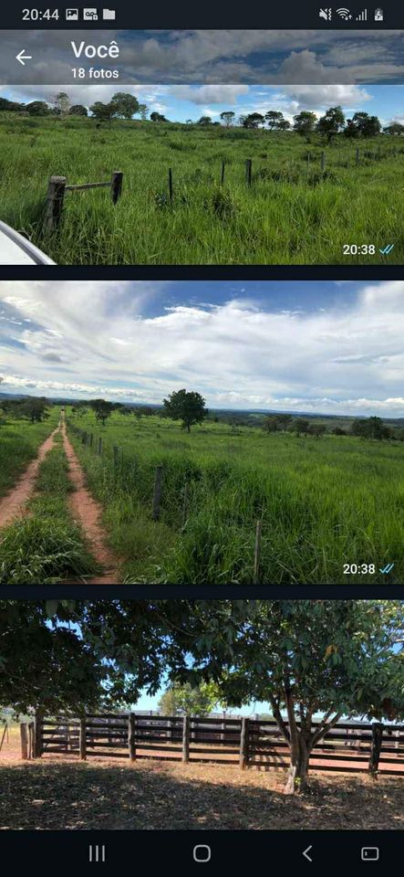 Imagem Fazenda à Venda, 1047 HA em ZONA RURAL - Guiratinga Imagem Fazenda à Venda, 1047 HA em ZONA RURAL - Guiratinga