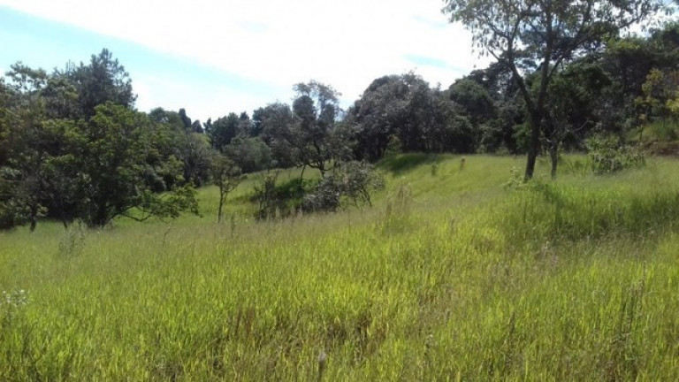 Imagem Terreno à Venda, 20.000 m² em Jardim Brasília - São Roque