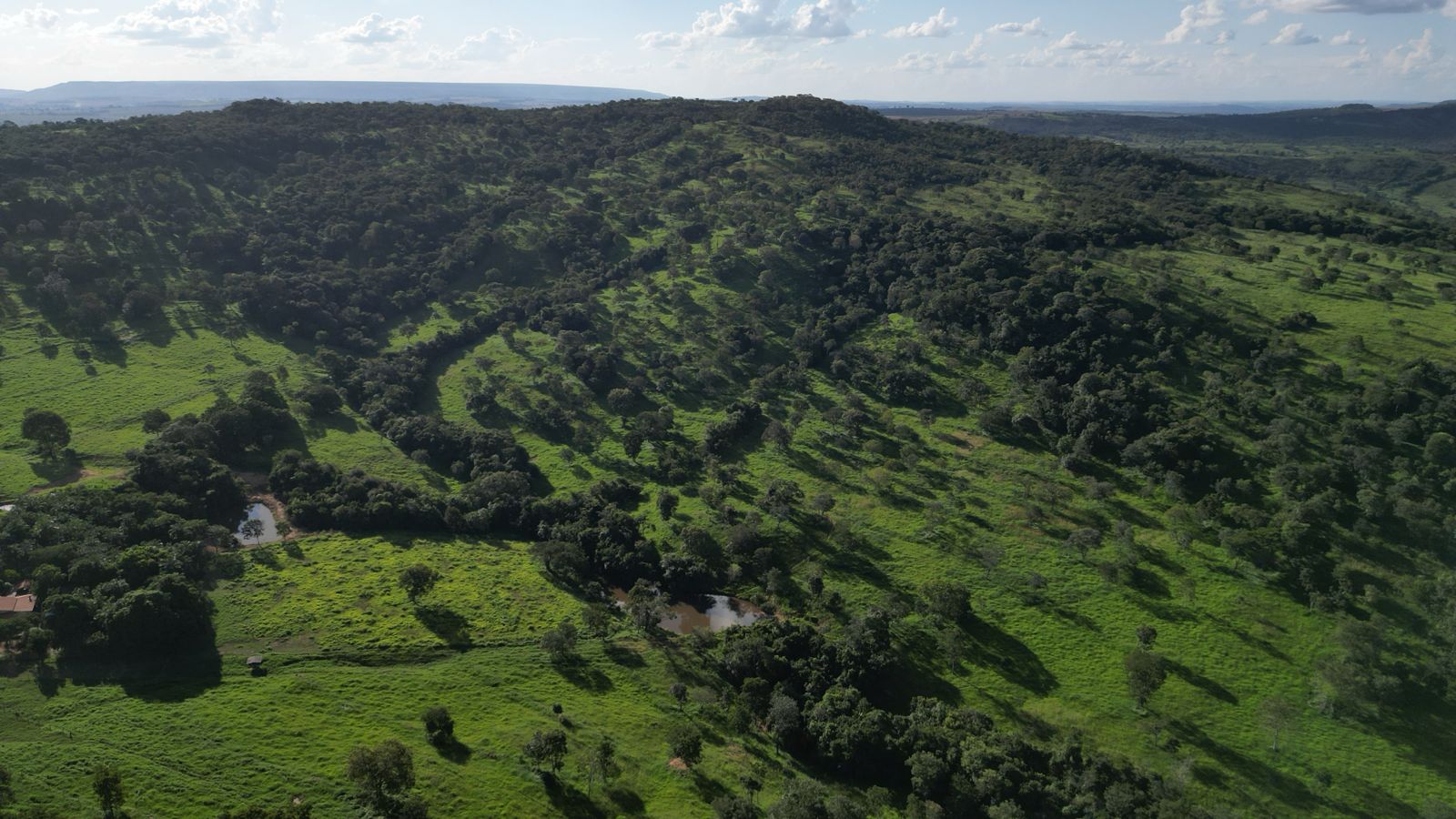 Fazenda à Venda, 32 Alq GO em SN - Caldas Novas