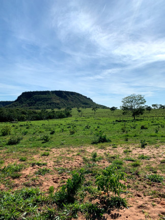 Imagem Fazenda à Venda, 911 HAem ZONA RURAL - Guiratinga