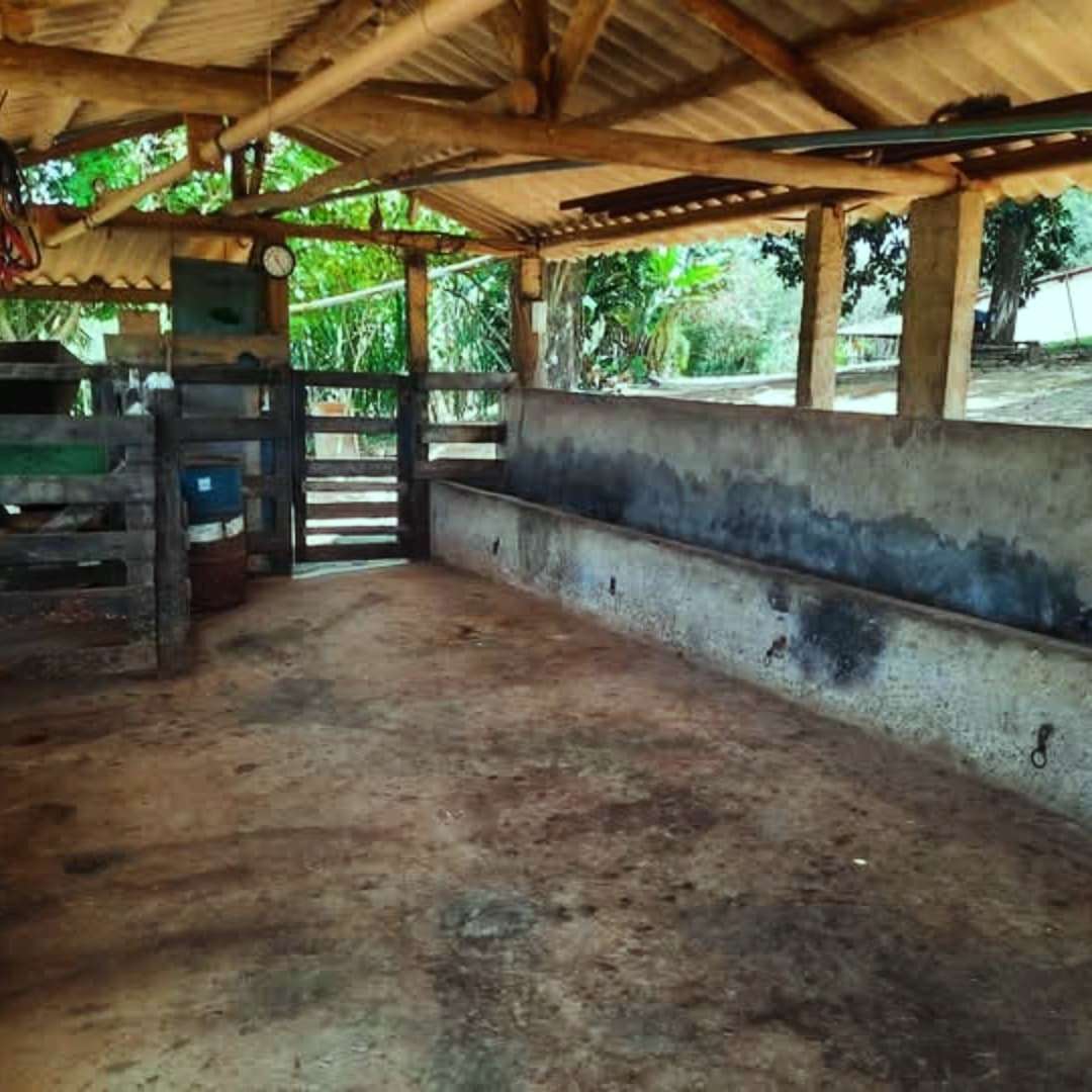 Imagem Fazenda à Venda, 4 Alq SPem rural - Caconde