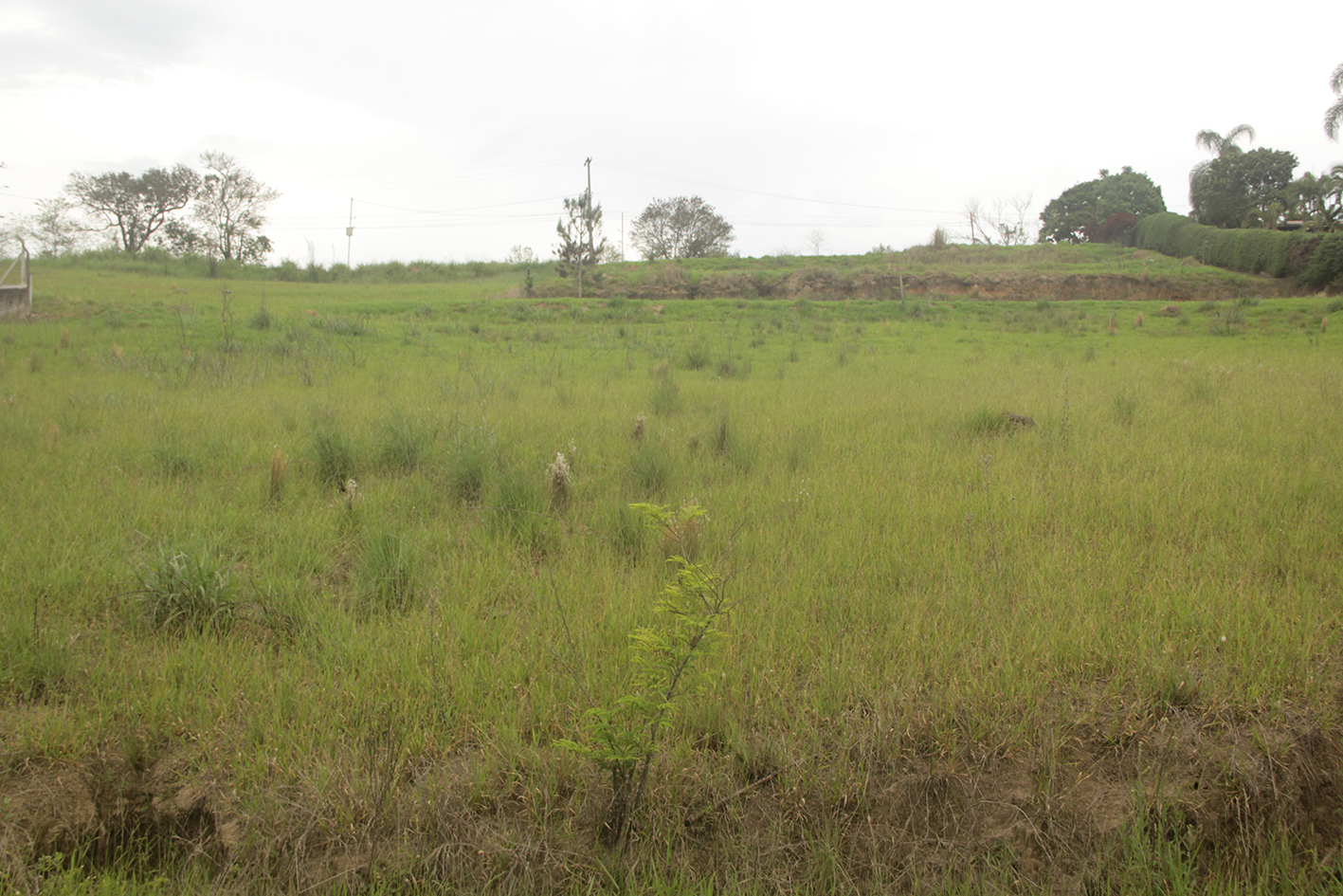 Imagem Terreno à Venda, 1 m²em lambari - Guararema Imagem Terreno à Venda, 1 m²em lambari - Guararema
