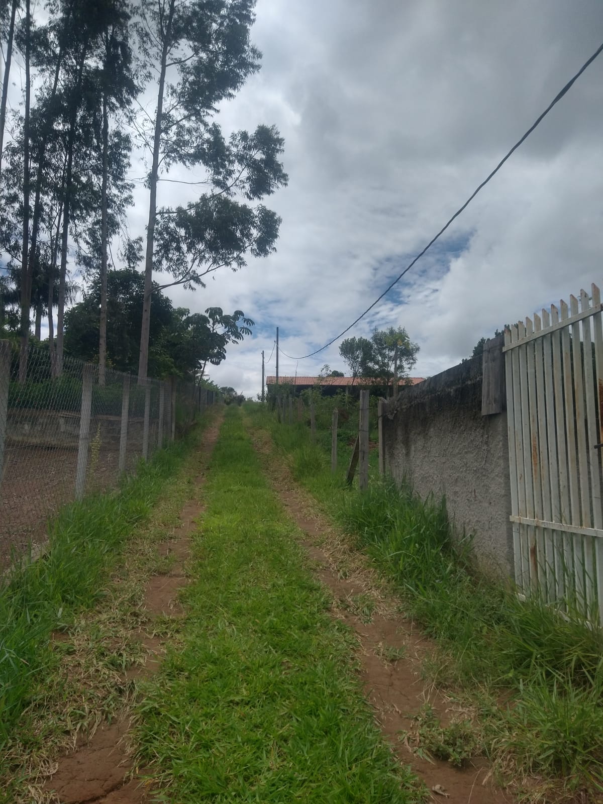 Imagem Chácara com 2 Quartos à Venda, 120 m²em Borda da Mata - Caçapava