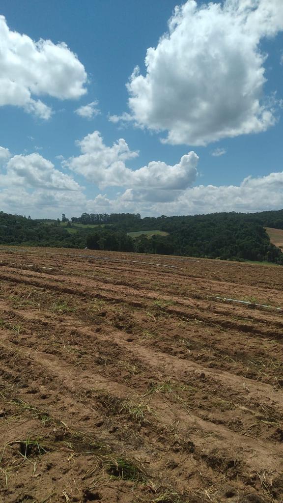 Imagem Fazenda à Venda, 6 Alq. SP em Valadão - Piedade Imagem Fazenda à Venda, 6 Alq. SP em Valadão - Piedade