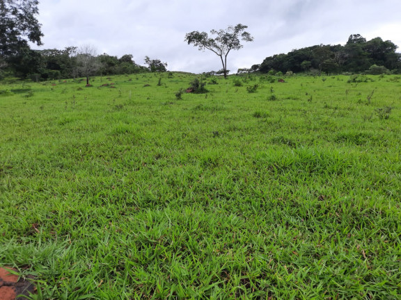 Imagem Fazenda à Venda, em Área Rural de Luziânia - Luziânia Imagem Fazenda à Venda, em Área Rural de Luziânia - Luziânia