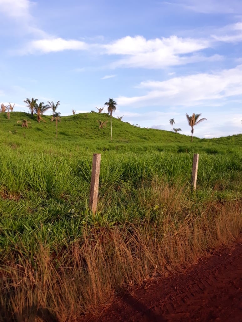 Imagem Fazenda à Venda, 9.399 m² em Centro - São Félix do Xingu Imagem Fazenda à Venda, 9.399 m² em Centro - São Félix do Xingu