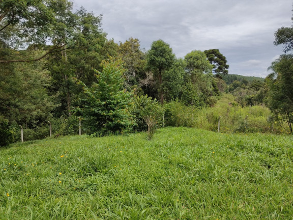 Imagem Chácara com 3 Quartos à Venda, 6.443 m² em AGUDOS - Agudos do Sul
