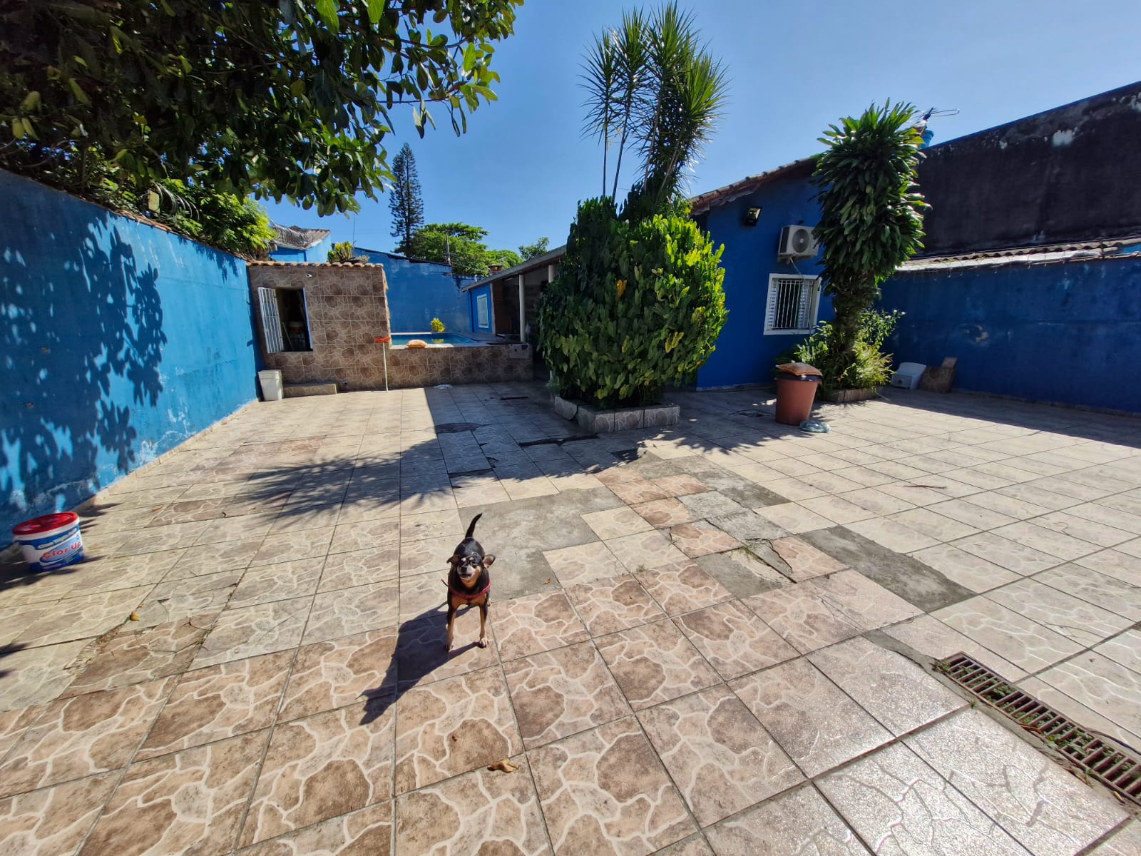 Imagem Casa com 2 Quartos à Venda, 80 m² em Balneário Flórida Mirim - Mongaguá Imagem Casa com 2 Quartos à Venda, 80 m² em Balneário Flórida Mirim - Mongaguá