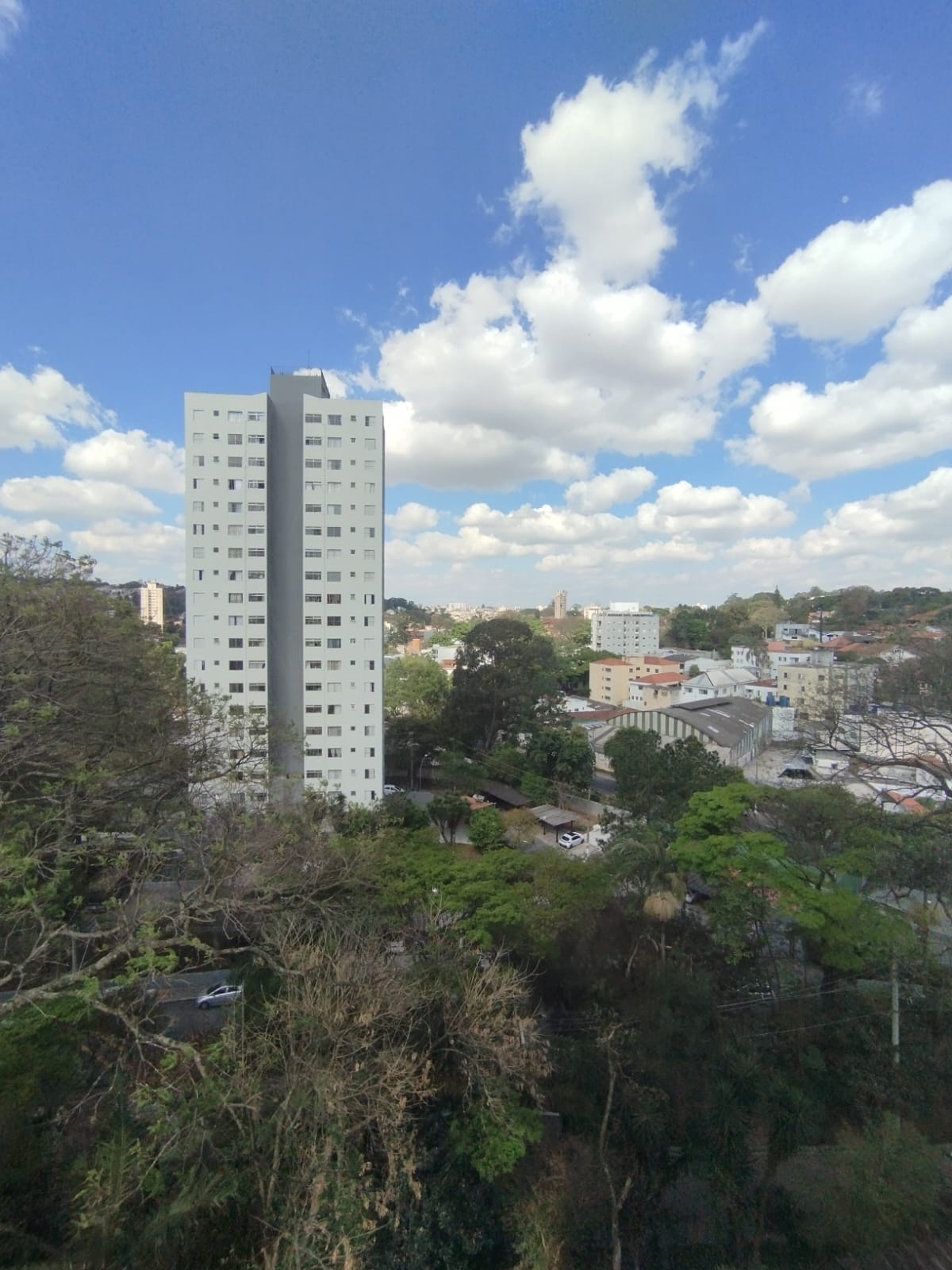 Imagem Apartamento com 2 Quartos para Alugar, 50 m² em Vila Irmãos Arnoni - São Paulo