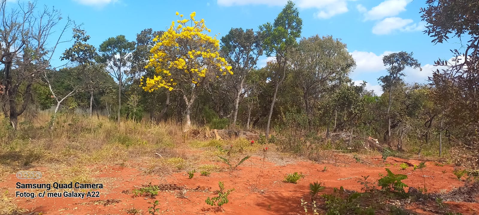 Imagem Terreno em Condomínio à Venda, 2.500 m² em Setor Habitacional Tororó (Jardim Botânico) - Brasília