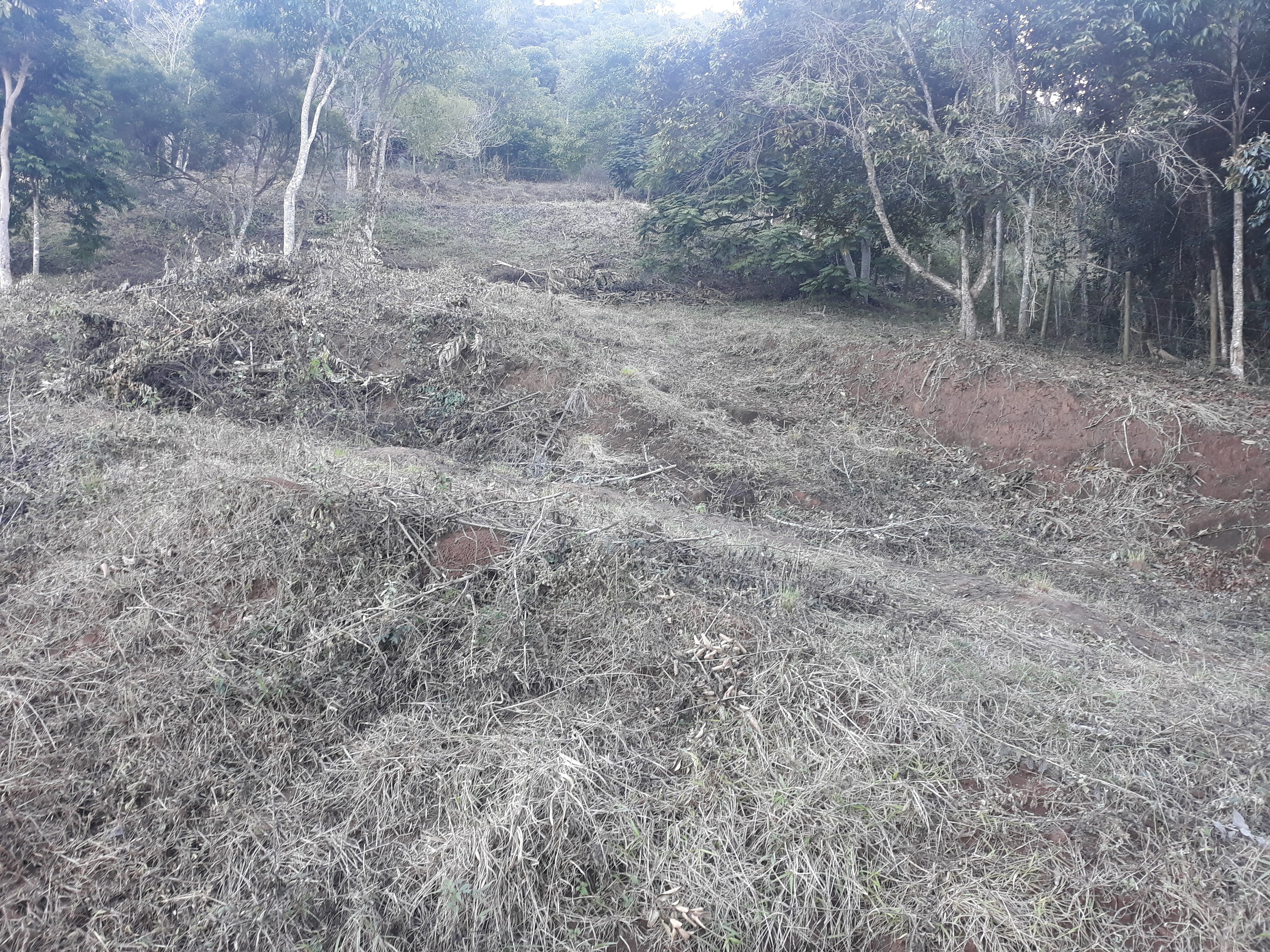Imagem Terreno à Venda, em Humaitá - Juiz de Fora Imagem Terreno à Venda, em Humaitá - Juiz de Fora