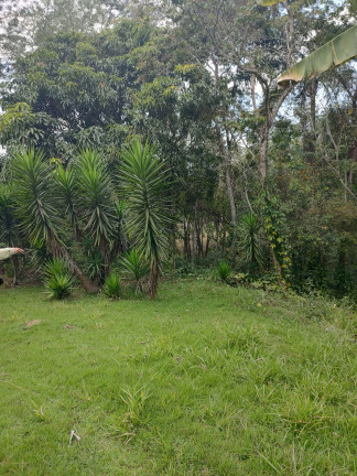 Imagem Chácara com 3 Quartos à Venda, 250 m² em Santa Teresa - Santa Isabel