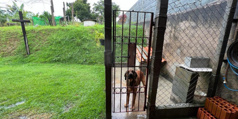 Imagem Chácara com 1 Quarto à Venda, 1.150 m² em Centro - Santa Isabel