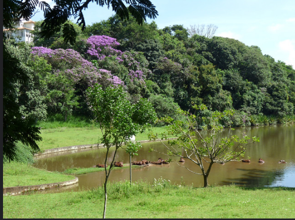 Imagem Terreno à Venda, 2 m²em Chácara Malota - Jundiaí Imagem Terreno à Venda, 2 m²em Chácara Malota - Jundiaí