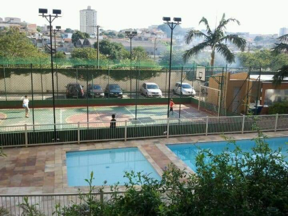 Imagem Apartamento com 3 Quartos à Venda, 60 m² em Cidade Patriarca - São Paulo Imagem Apartamento com 3 Quartos à Venda, 60 m² em Cidade Patriarca - São Paulo