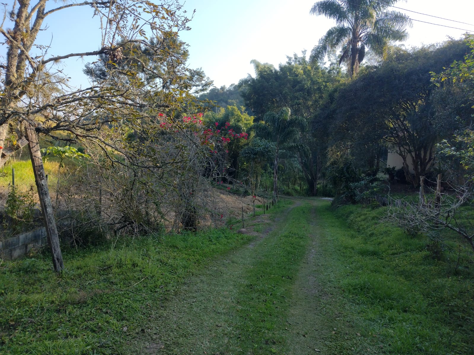 Imagem Chácara com 3 Quartos à Venda, 500 m² em Guararema - Guararema