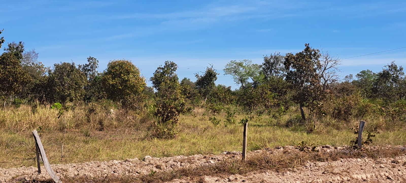 Imagem Fazenda à Venda, 25 Alq GOem Zona Rural - Araguaiana Imagem Fazenda à Venda, 25 Alq GOem Zona Rural - Araguaiana