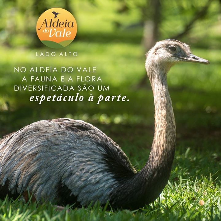 Imagem Terreno em Condomínio à Venda, 10.500 m² em Residencial Aldeia Do Vale - Goiânia Imagem Terreno em Condomínio à Venda, 10.500 m² em Residencial Aldeia Do Vale - Goiânia