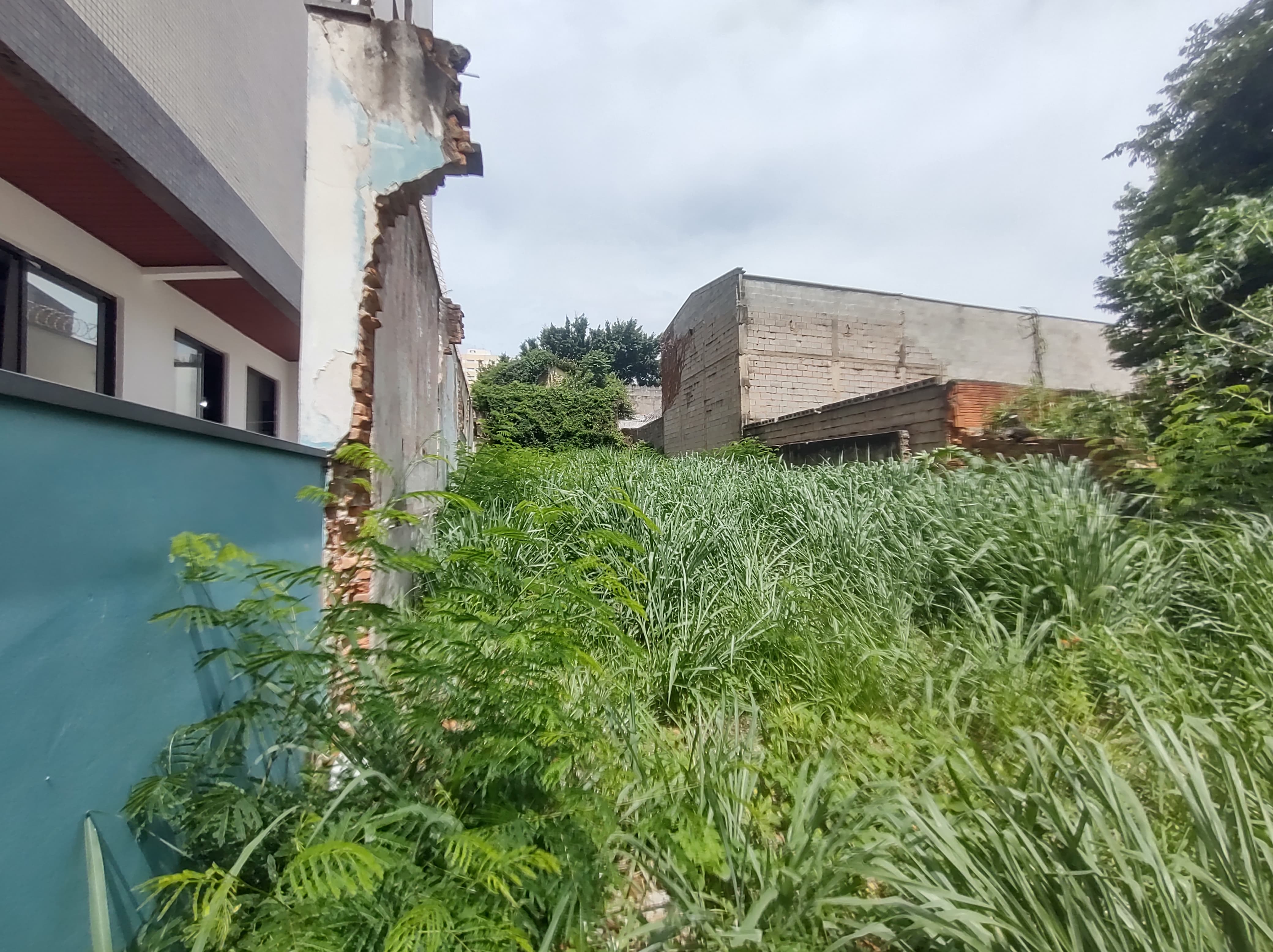 Imagem Terreno à Venda, 300 m²em Vila Jequitibás - Campinas