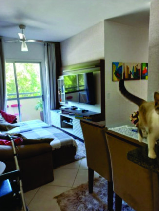 Imagem Apartamento com 2 Quartos à Venda,  em Parque Jacaraípe - Serra