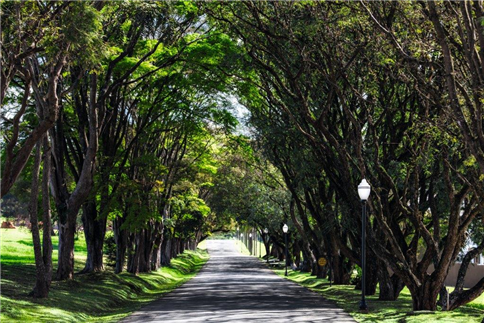 Imagem do condomínio Condomínio Fazenda Serrazul 2 - Serra Azul - Itupeva - SP