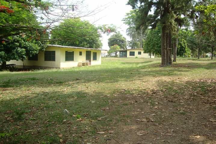 Imagem Fazenda à Venda, 22 HAem rural - Almeirim Imagem Fazenda à Venda, 22 HAem rural - Almeirim