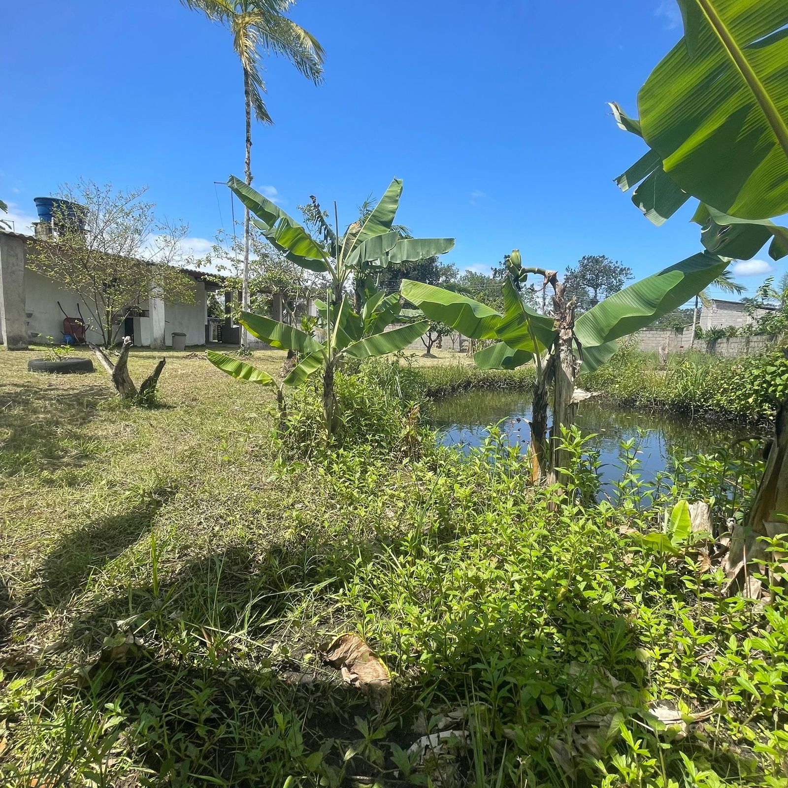 Imagem Chácara com 2 Quartos à Venda, 60 m²em Balneário Gaivota - Itanhaém Imagem Chácara com 2 Quartos à Venda, 60 m²em Balneário Gaivota - Itanhaém