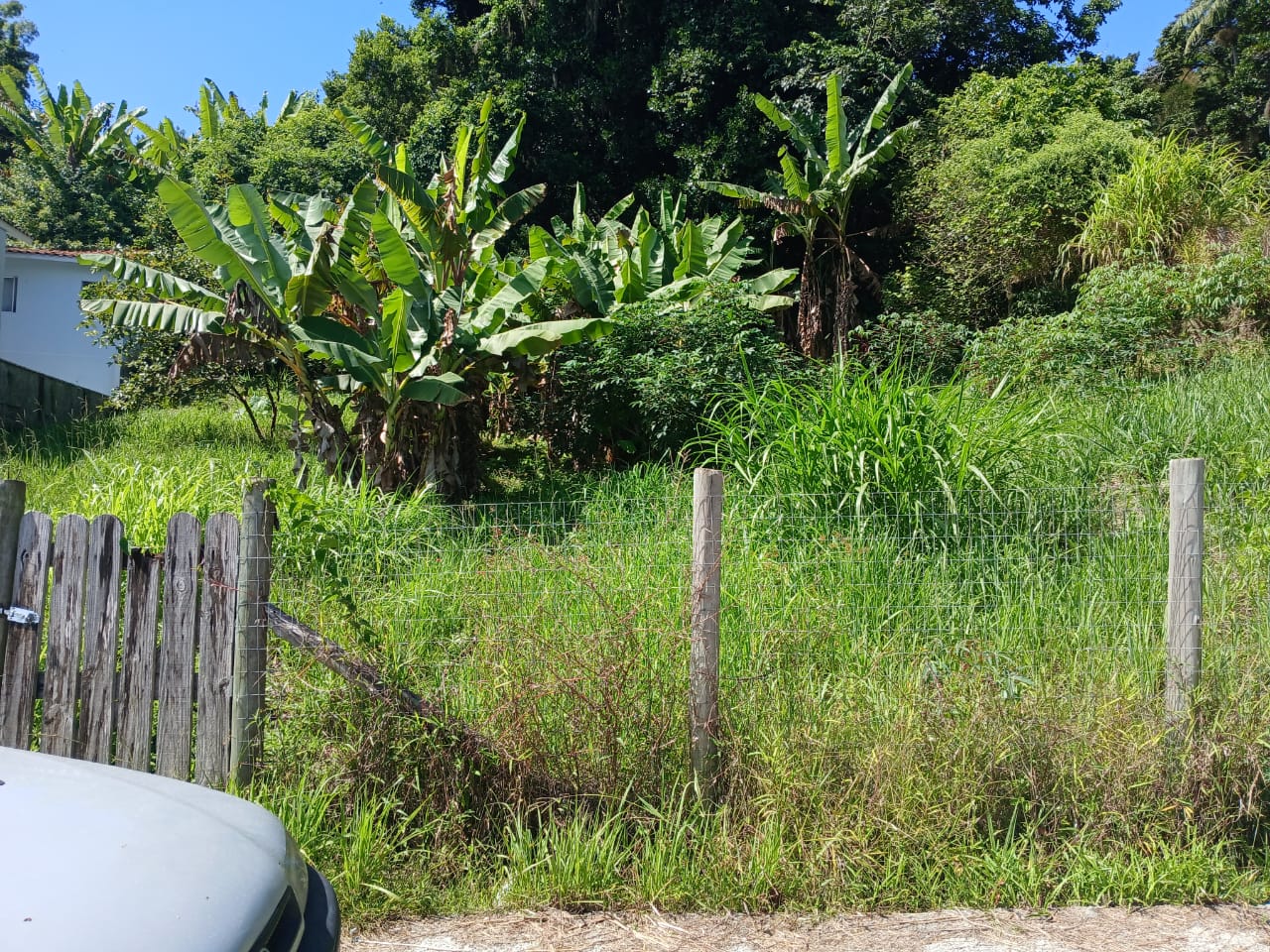 Imagem Terreno à Venda, 600 m² em Vargem Pequena - Florianópolis