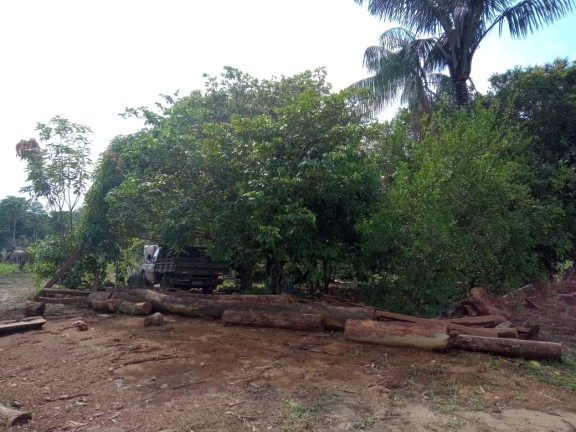 Imagem Terreno à Venda, 2.000 m² em Zona Rural - Humaitá Imagem Terreno à Venda, 2.000 m² em Zona Rural - Humaitá