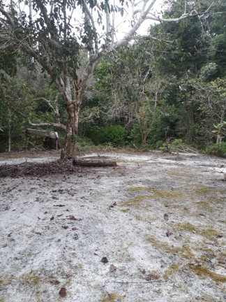 Imagem Chácara à Venda, 34.000 m² em Aparecida - Manacapuru