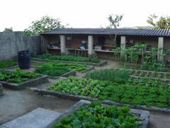 Imagem Chácara com 3 Quartos à Venda, 10 hectareem Chácaras Alpina - Valinhos