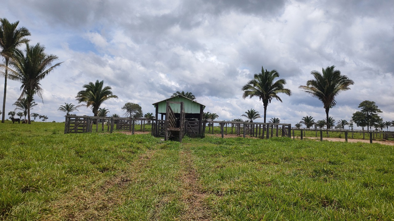 Imagem Fazenda à Venda, em Zona Rural - São Geraldo do Araguaia Imagem Fazenda à Venda, em Zona Rural - São Geraldo do Araguaia
