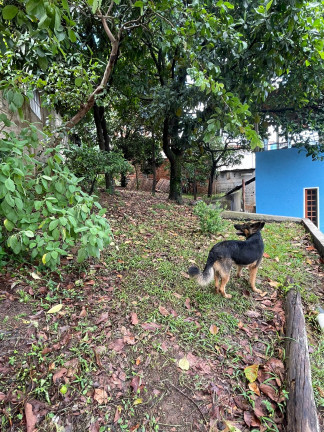 Imagem Casa com 2 Quartos à Venda, em Jardim Santa Maria - Guarulhos Imagem Casa com 2 Quartos à Venda, em Jardim Santa Maria - Guarulhos