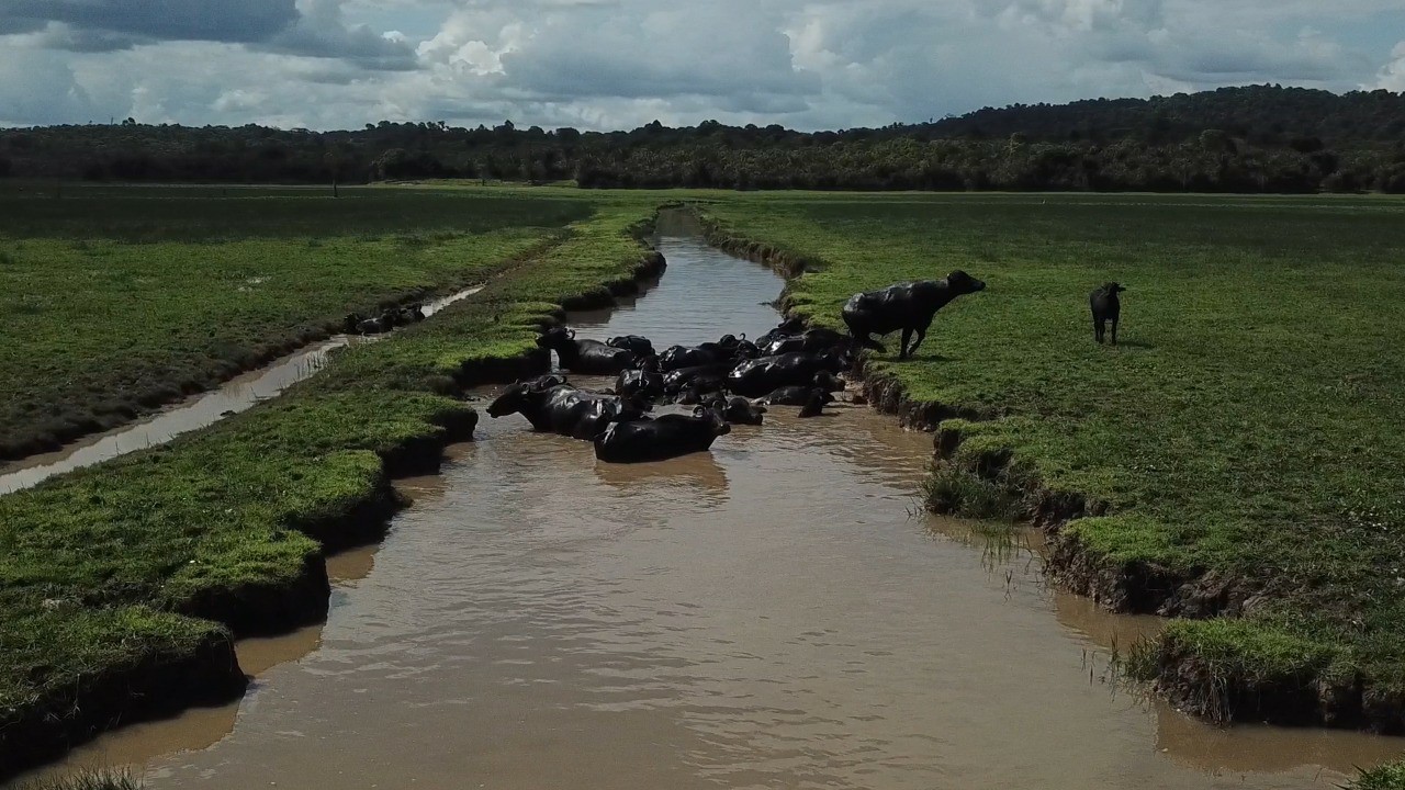 Fazenda à Venda, 22 HAem rural - Almeirim
