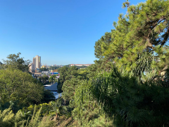 Imagem Apartamento com 2 Quartos à Venda, 50 m² em Demarchi - São Bernardo Do Campo