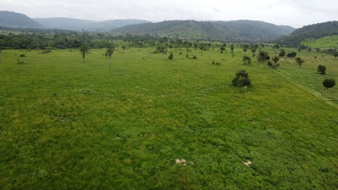 Imagem Fazenda à Venda, 90 m²em Centro - São Félix do Xingu