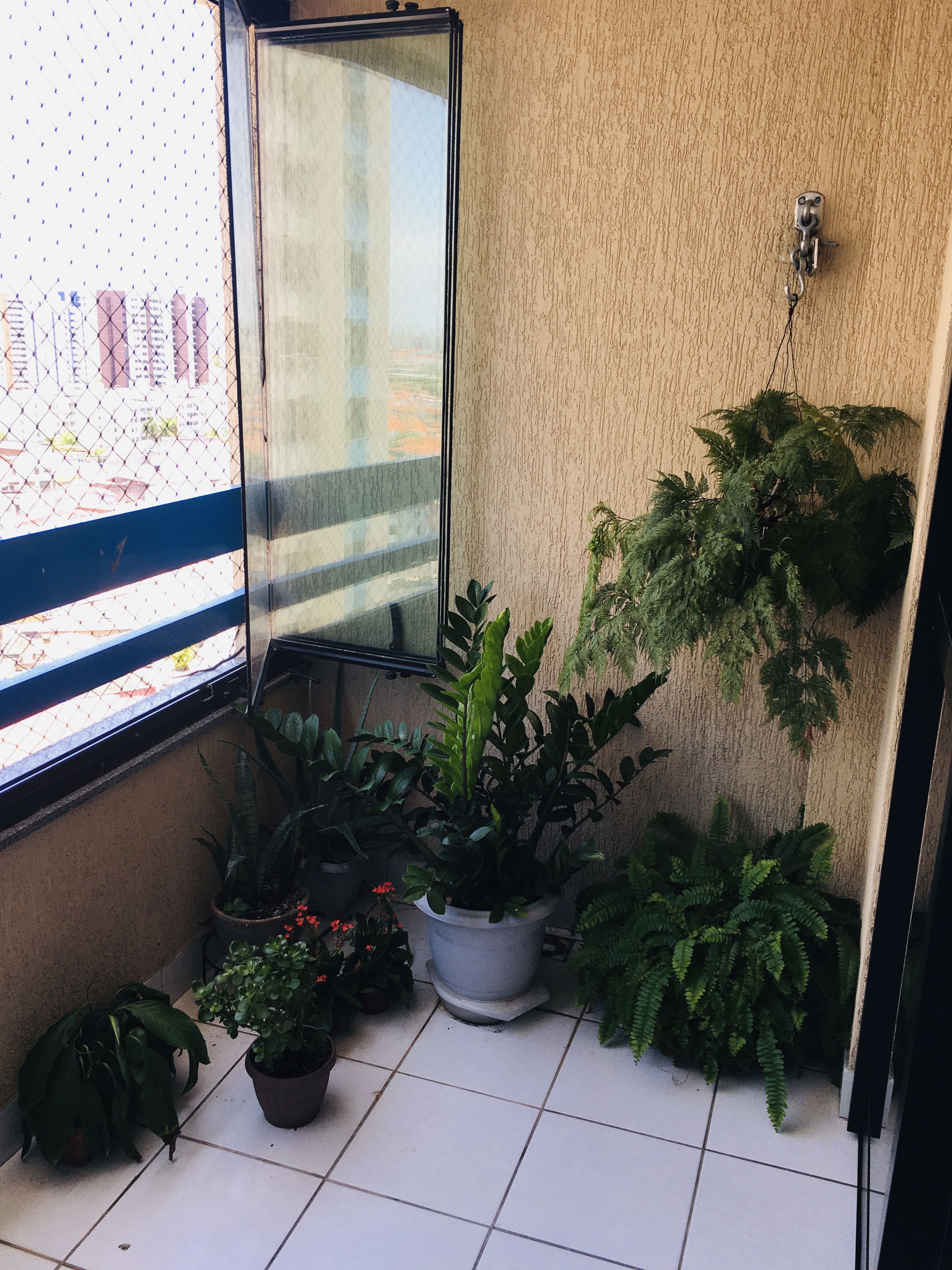 Imagem Apartamento com 3 Quartos à Venda, 104 m²em Luzia - Aracaju Imagem Apartamento com 3 Quartos à Venda, 104 m²em Luzia - Aracaju