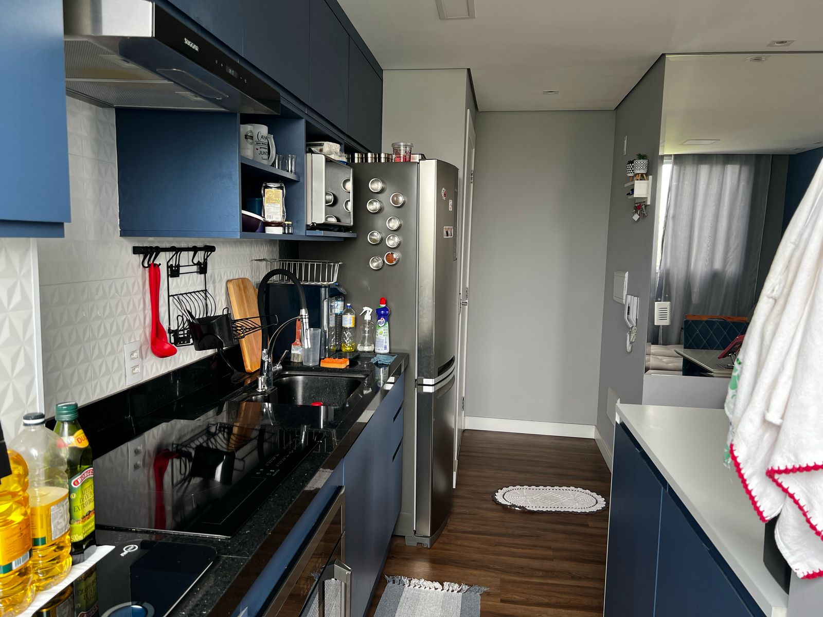 Imagem Apartamento com 2 Quartos à Venda, 50 m² em Vila Santa Catarina - São Paulo