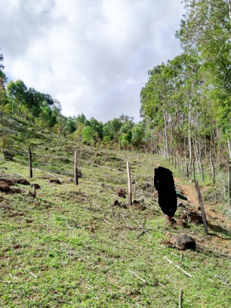 Imagem Terreno à Venda, 1.000 m² em Jardim Zaira - Mauá Imagem Terreno à Venda, 1.000 m² em Jardim Zaira - Mauá