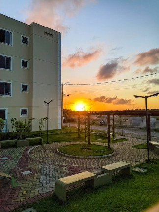 Imagem Apartamento com 2 Quartos à Venda, 42 m² em Jardins - São Gonçalo do Amarante