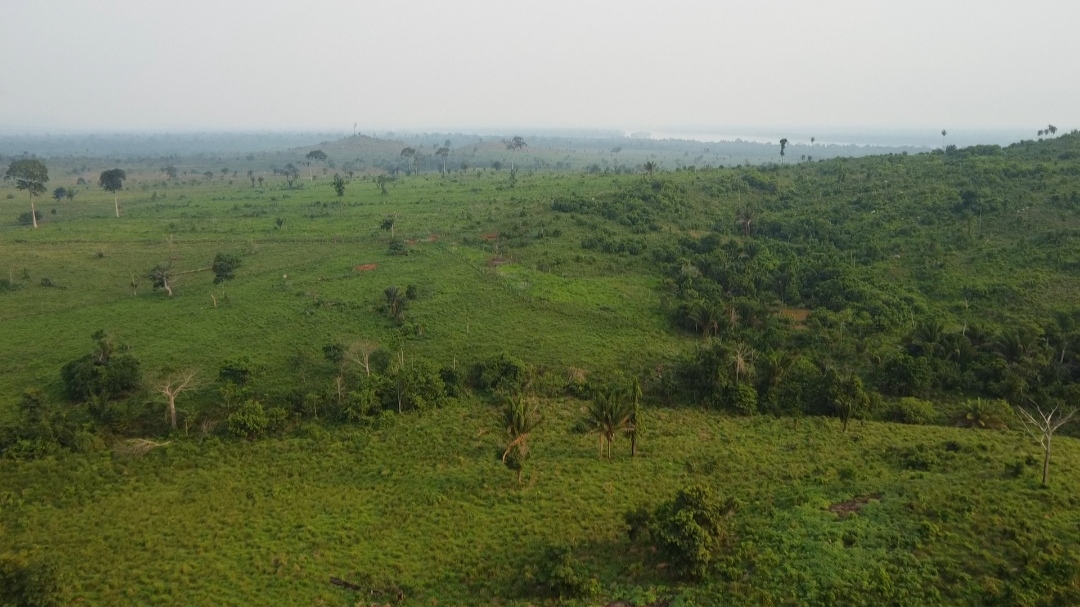 Imagem Fazenda à Venda, 1 m²em Centro  - São Félix do Xingu
