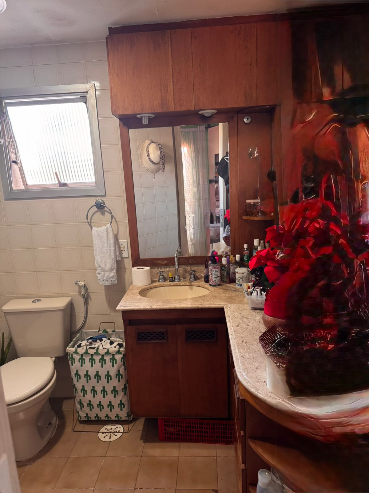 Imagem Apartamento com 2 Quartos à Venda ou Locação, 62 m² em Vila Mascote - São Paulo Imagem Apartamento com 2 Quartos à Venda ou Locação, 62 m² em Vila Mascote - São Paulo