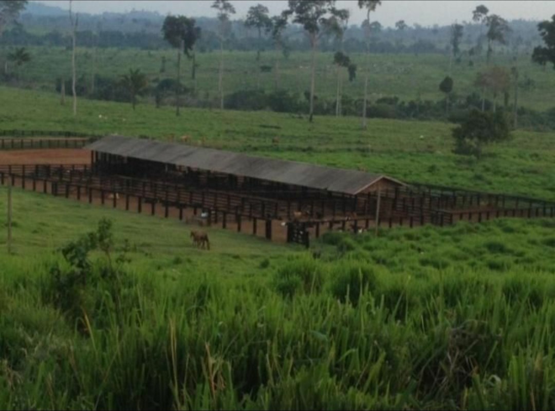 Imagem Fazenda à Venda, 9.399 m² em Centro - São Félix do Xingu Imagem Fazenda à Venda, 9.399 m² em Centro - São Félix do Xingu