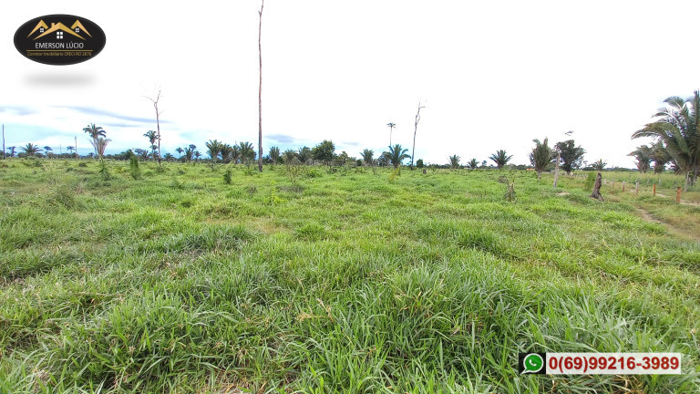 Imagem Fazenda à Venda, em Zona Rural - Candeias do Jamari Imagem Fazenda à Venda, em Zona Rural - Candeias do Jamari