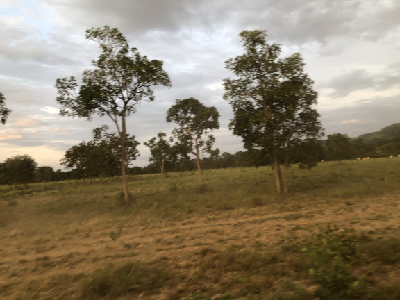 Fazenda à Venda, 818m² em Zona Rural - Flores de Goiás