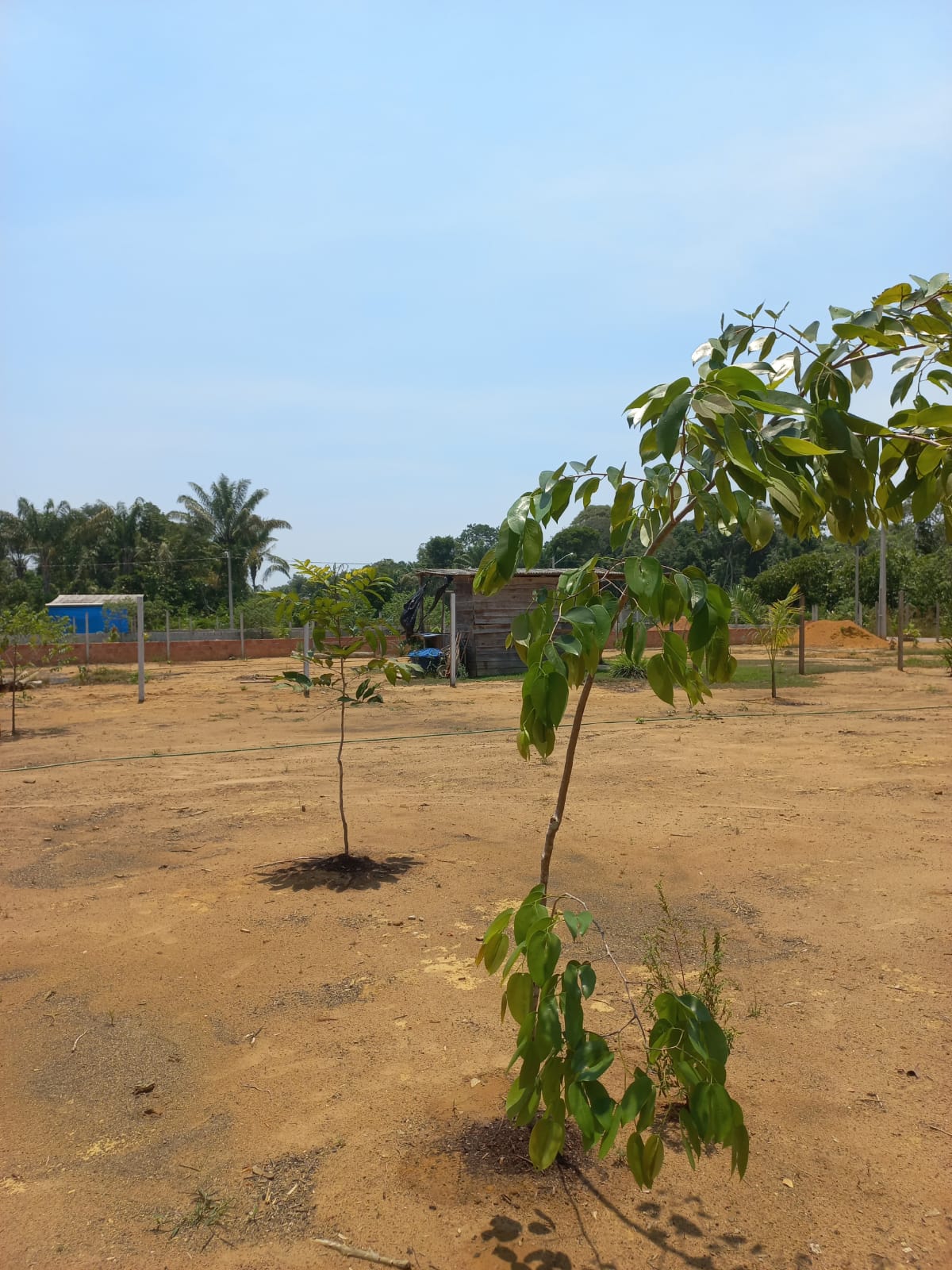 Imagem Terreno à Venda, 1 m²em Zona Rural - Iranduba