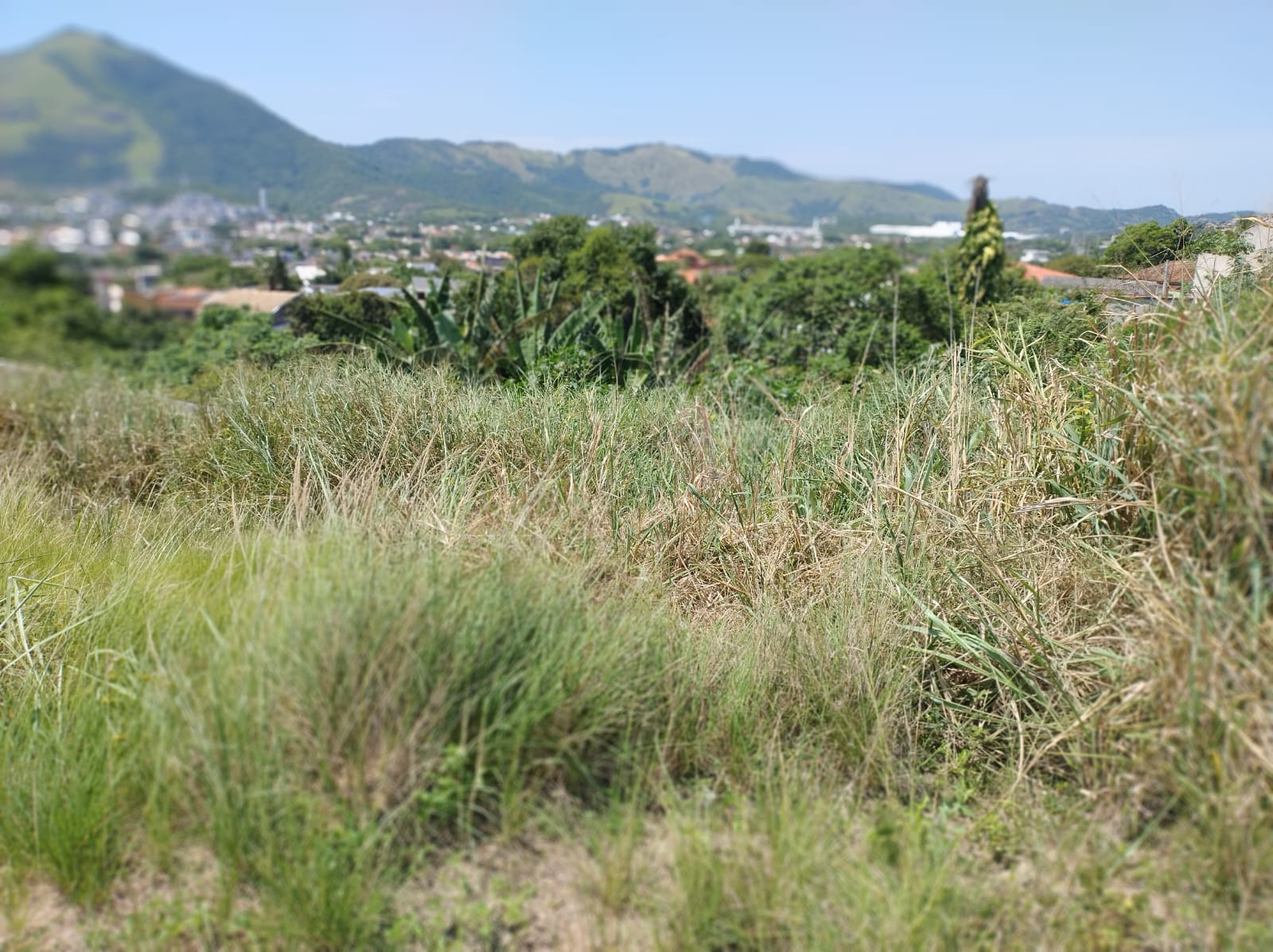 Imagem Terreno em Condomínio à Venda, 209 m²em Campo Grande - Rio de Janeiro