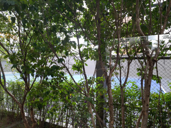 Imagem Apartamento com 3 Quartos à Venda,  em Vila Olímpia - São Paulo